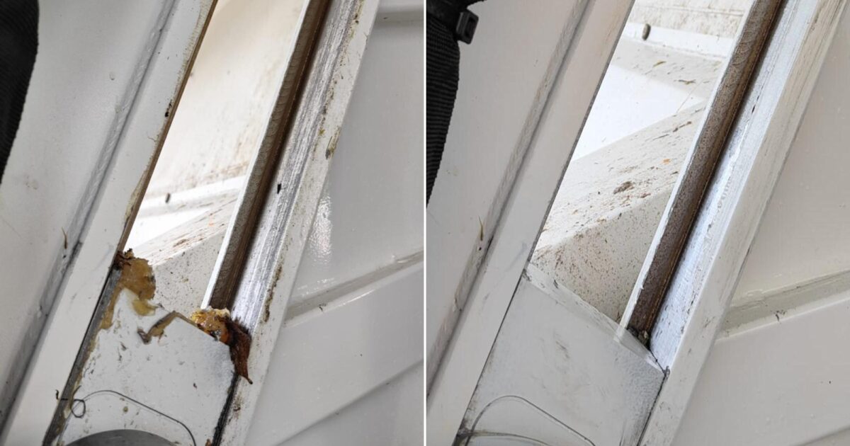 Cleaning Compactor Guides in Waste Collection | Interflon